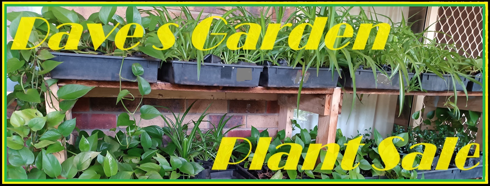 (image for) Garden