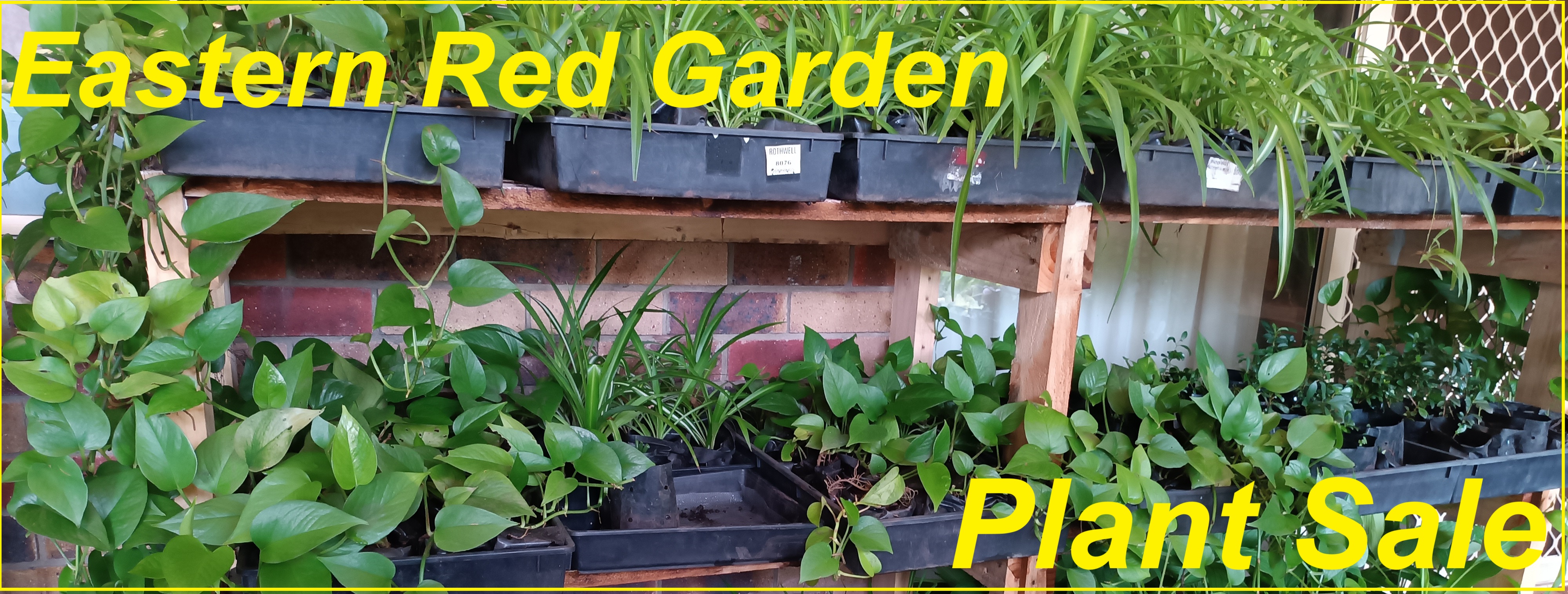 (image for) Garden